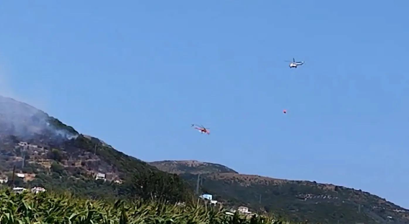 Marmara Adası'nda bir kaynak kıvılcımı ormanı küle çevirdi