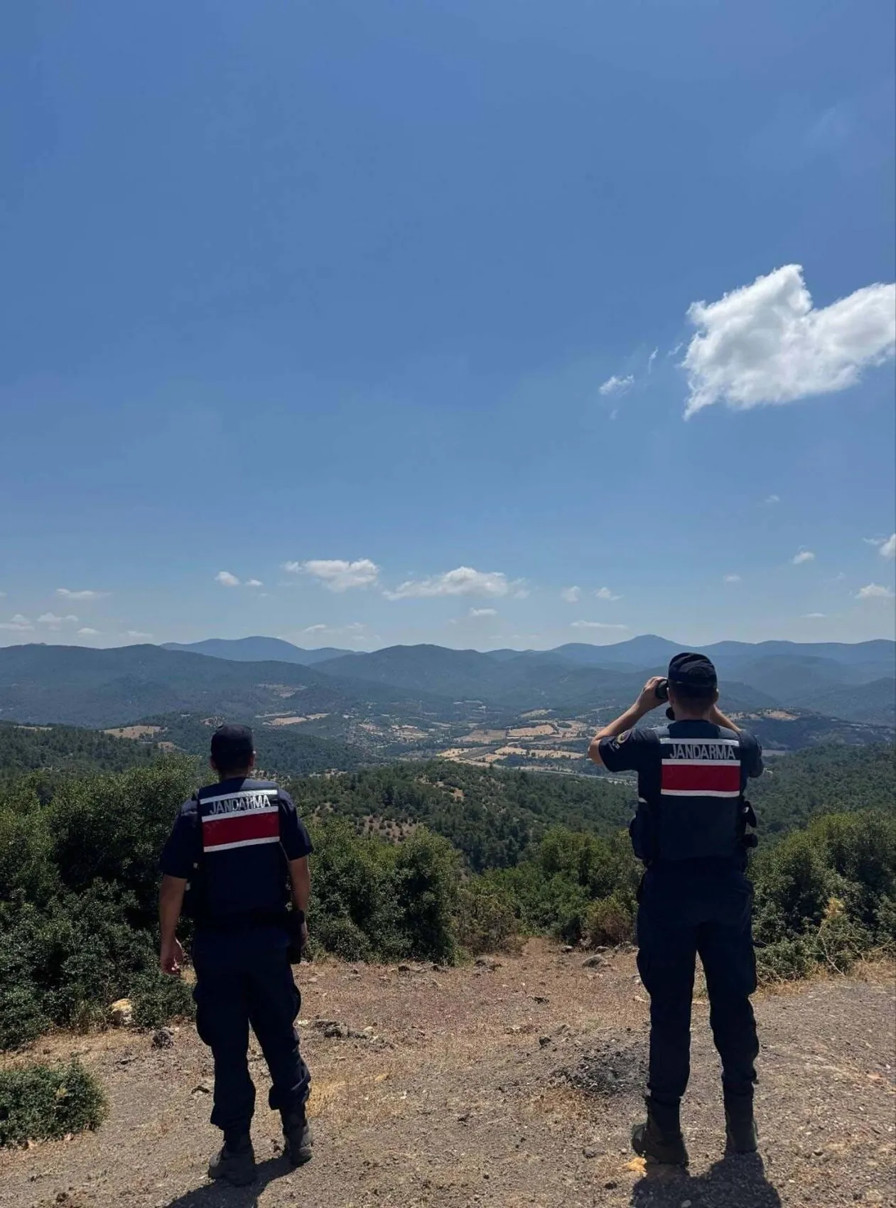 Çanakkale ormanları iki ayda kül oldu