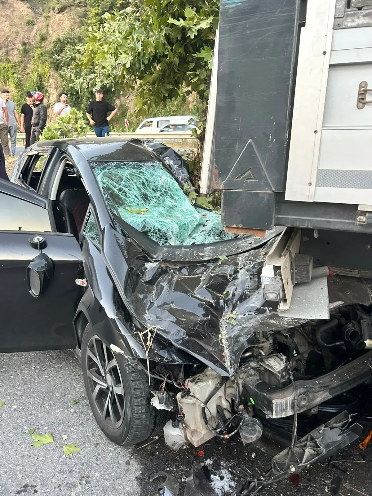Ehliyetsiz sürücü direksiyon hakimiyetini kaybedince hayata veda etti