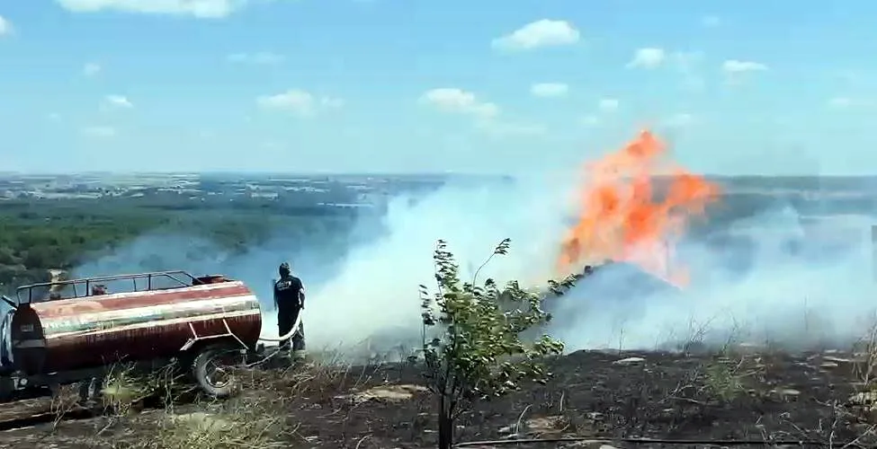 Tekirdağ'da orman yangını paniği