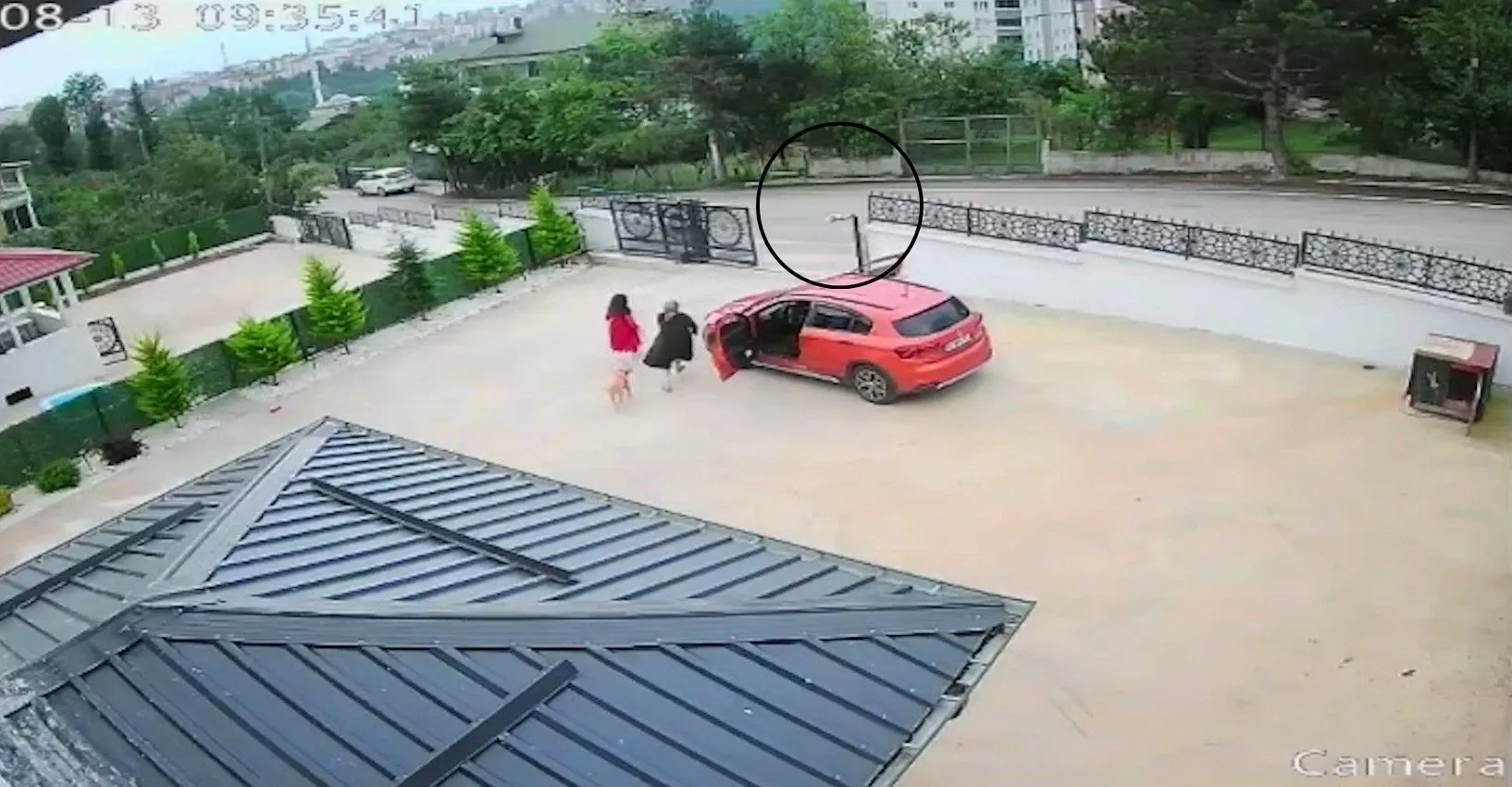 Ordu’da otomobilin çarptığı köpek öldü küçük kız baygınlık geçirdi