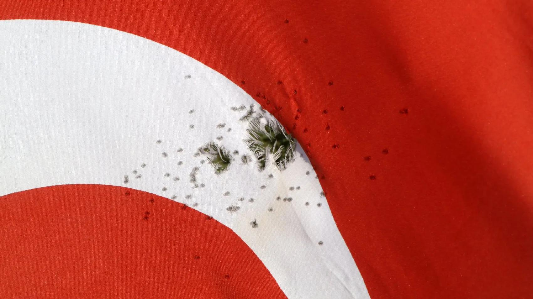 Avşar Tepe'deki bayrağa kurşun attılar, sporcular isyan etti