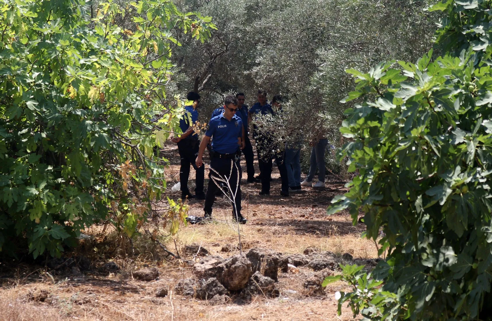 Antalya Kepez'de zeytinlikte korkunç cinayet