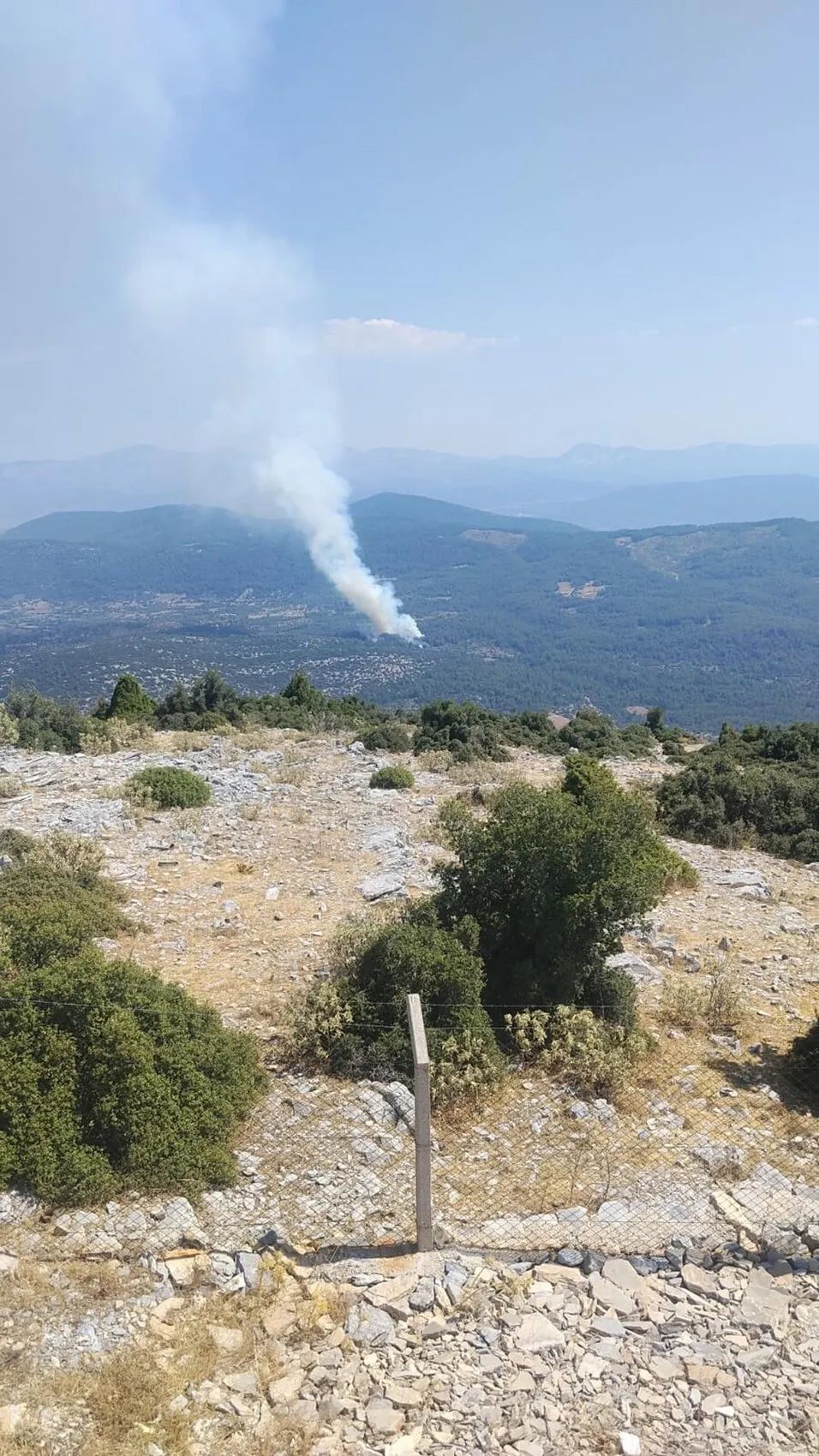 Menteşe ormanlarında yangın paniği yaşanıyor