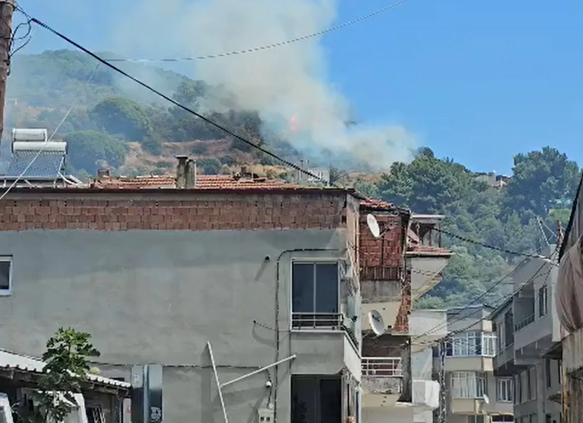 Marmara Adası alevlere teslim