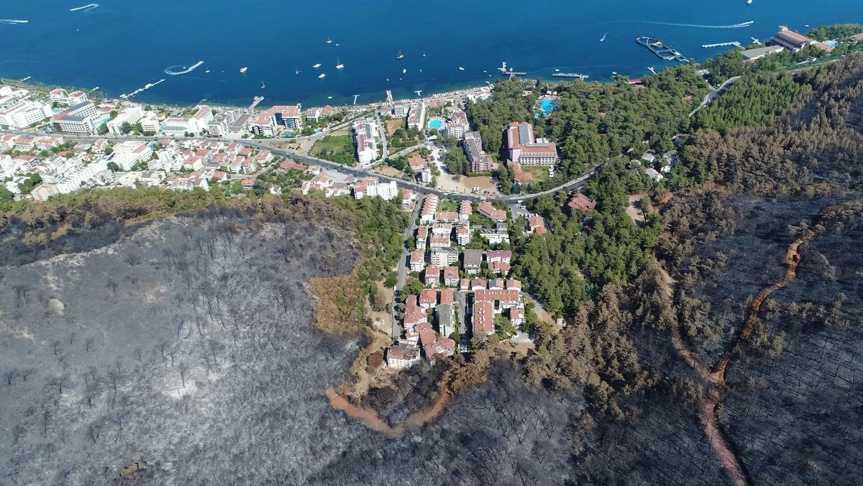 Muğla ormanları 5 yıl sonra küllerinden yeniden doğdu