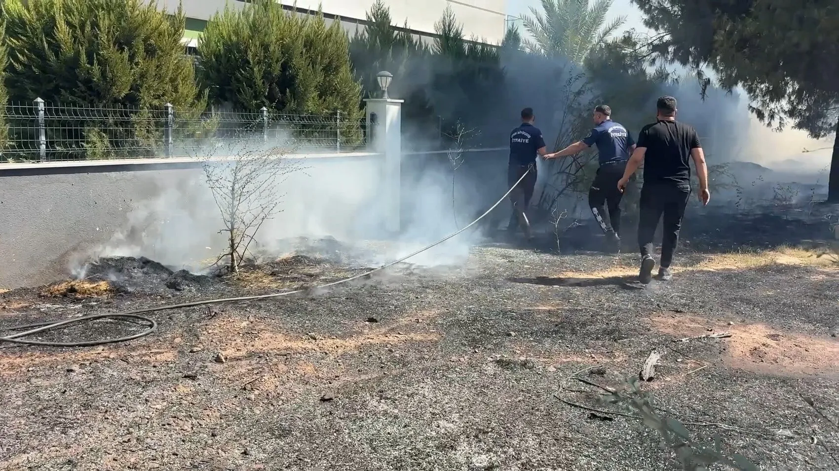 Efeler'de ot yangını zeytinliğe sıçradı Alevler villaların bahçesine dayandı