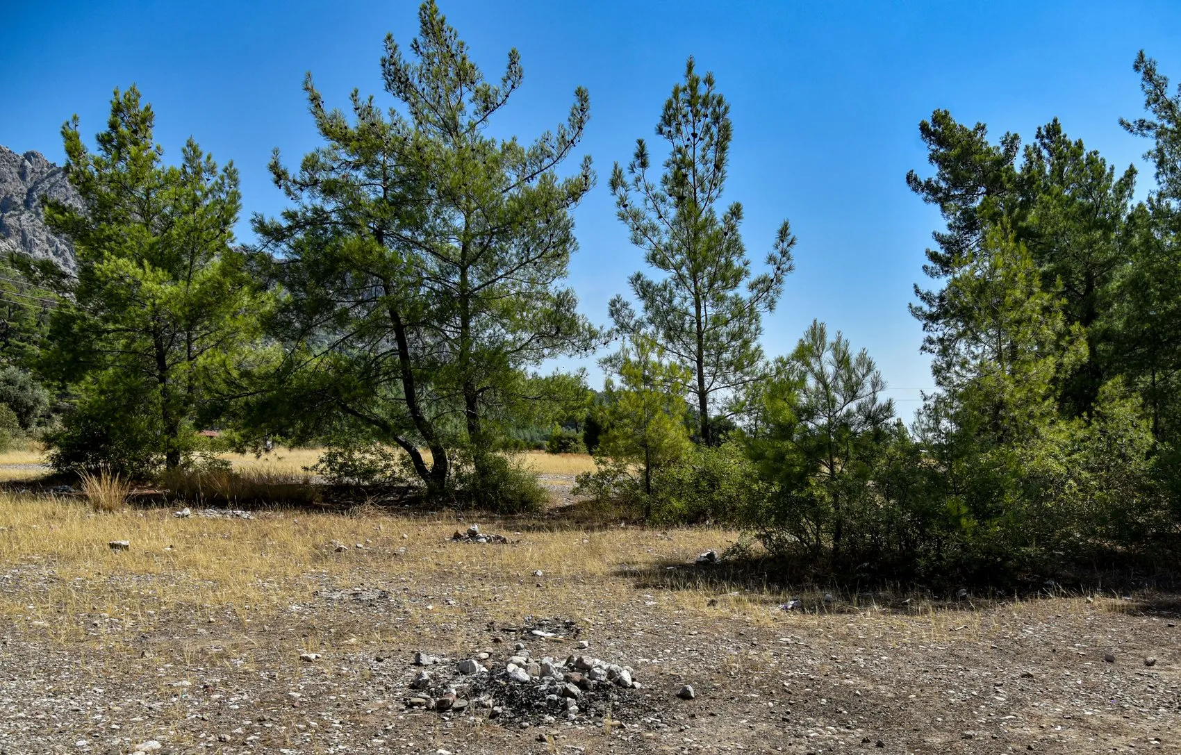 Antalya ormanlarında mangal inadı yangına davetiye çıkarıyor