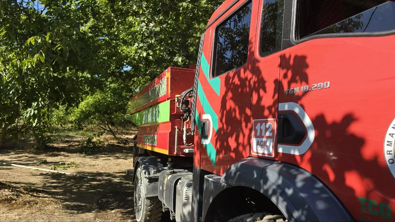 Mudanya'da zeytinlikleri küle çeviren yangın evlere sıçramadan söndürüldü