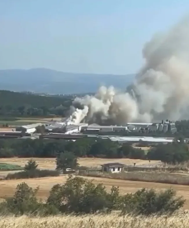 Mudanya’da tavuk çiftliği alevlere teslim oldu