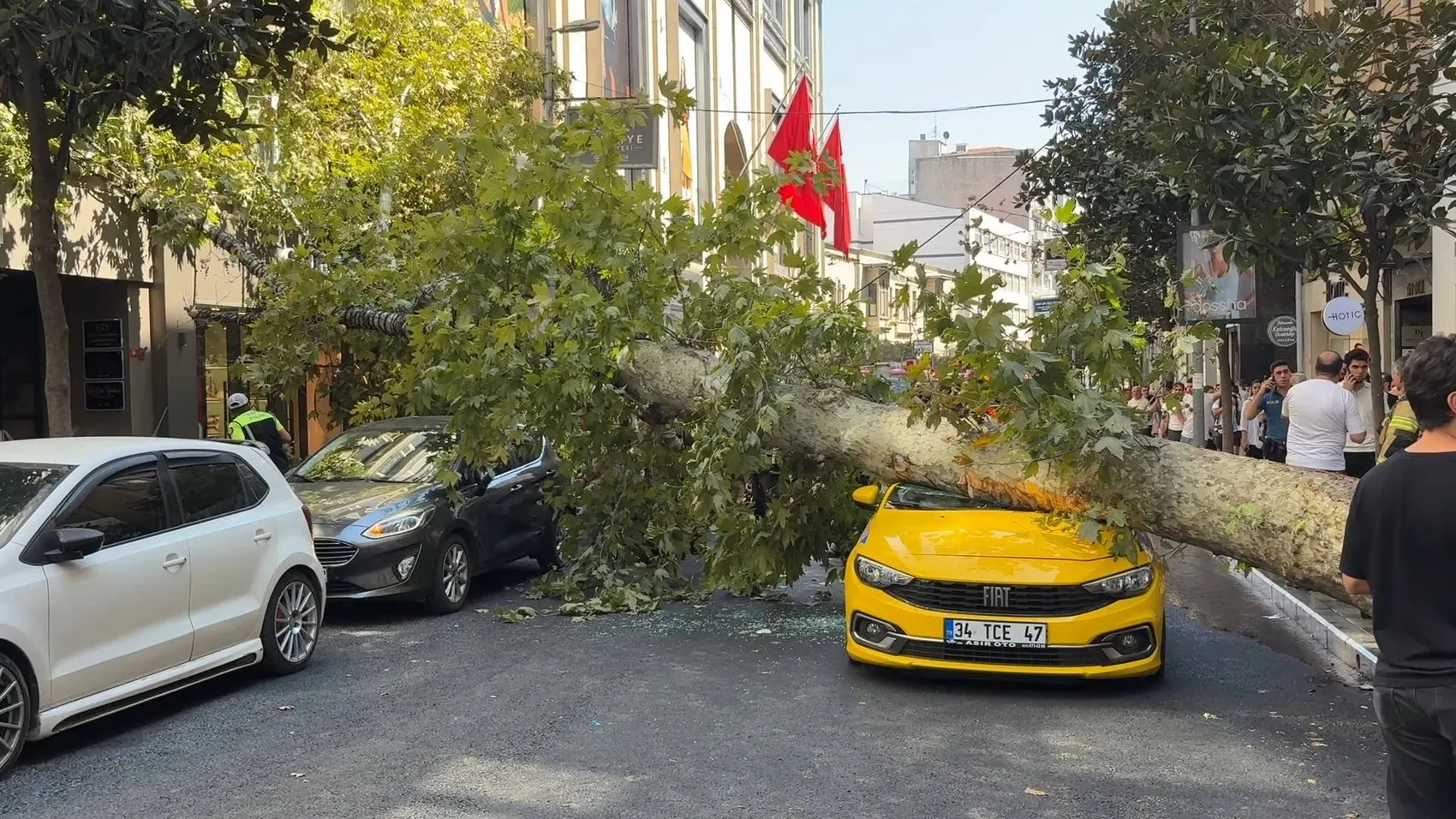 Şişli'de kaldırım ağacı park halindeki iki aracın üstüne devrildi