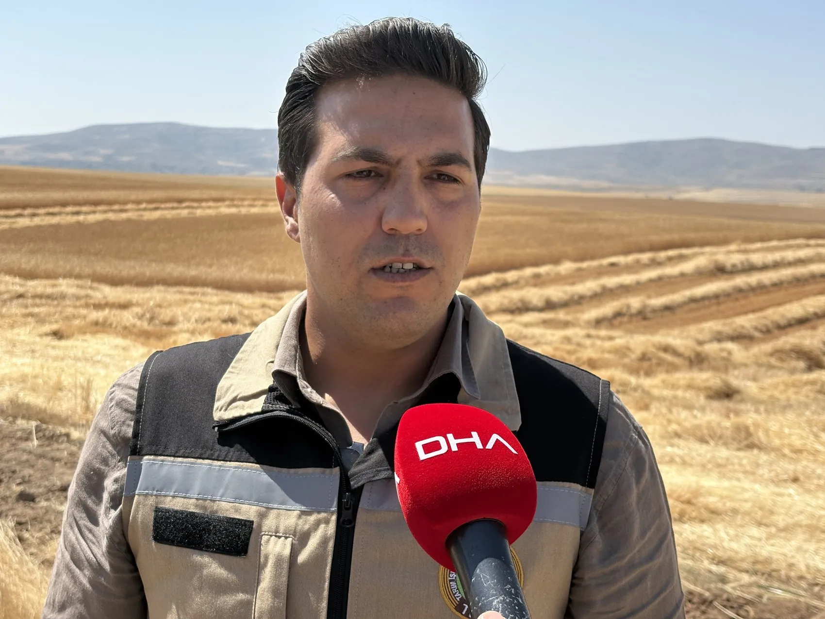 Sivas'ta dev hasat dönemi Tritikale üretiminde rekor artış bekleniyor