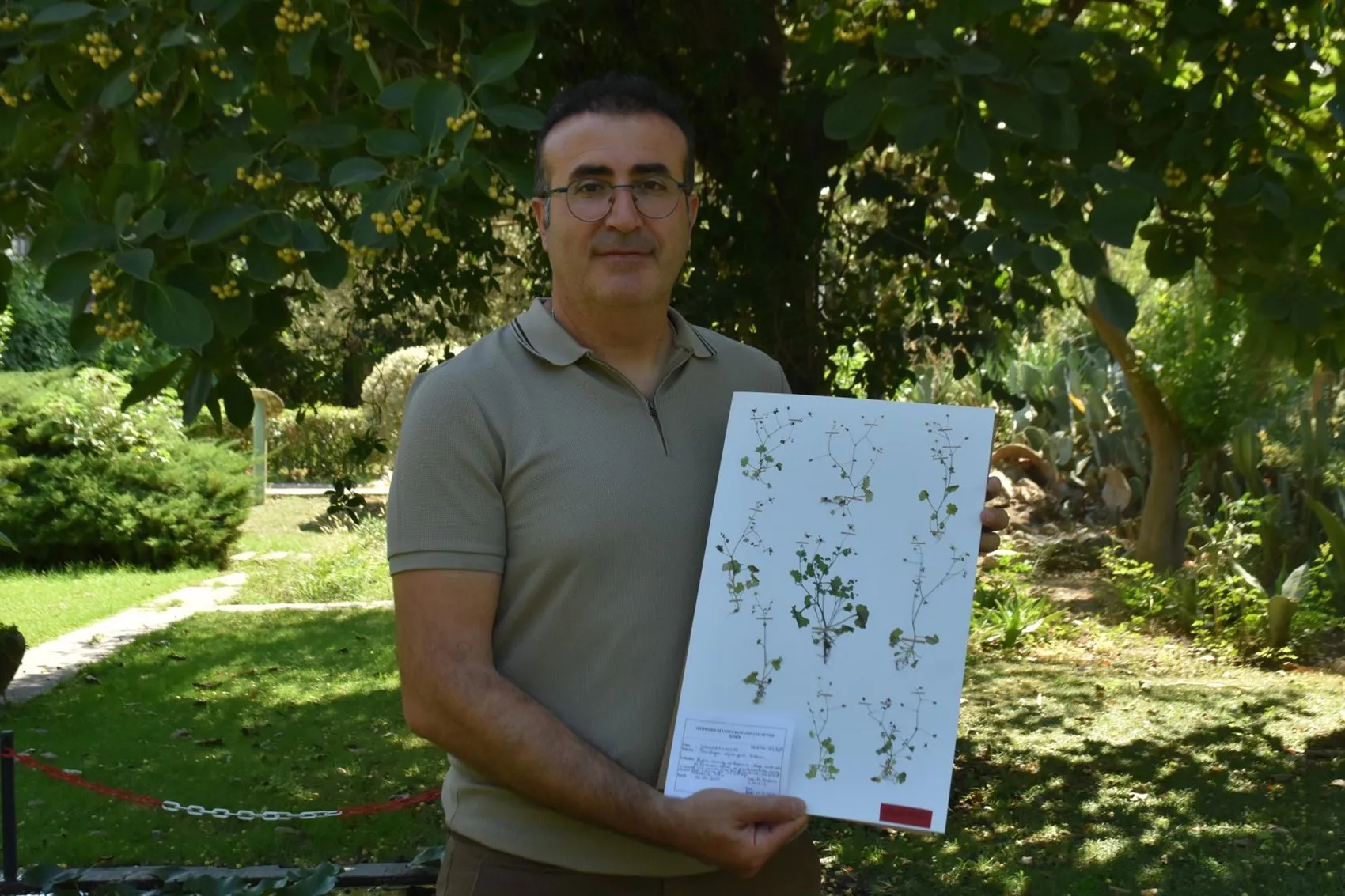 Latmos’ta parlayan nadir çiçek maden tehdidiyle karşı karşıya
