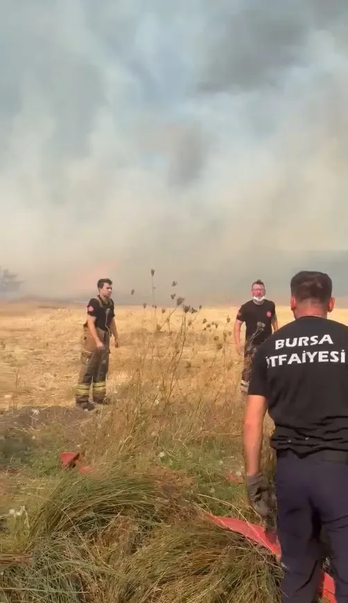 Yangına bir destek de hayvanseverlerden