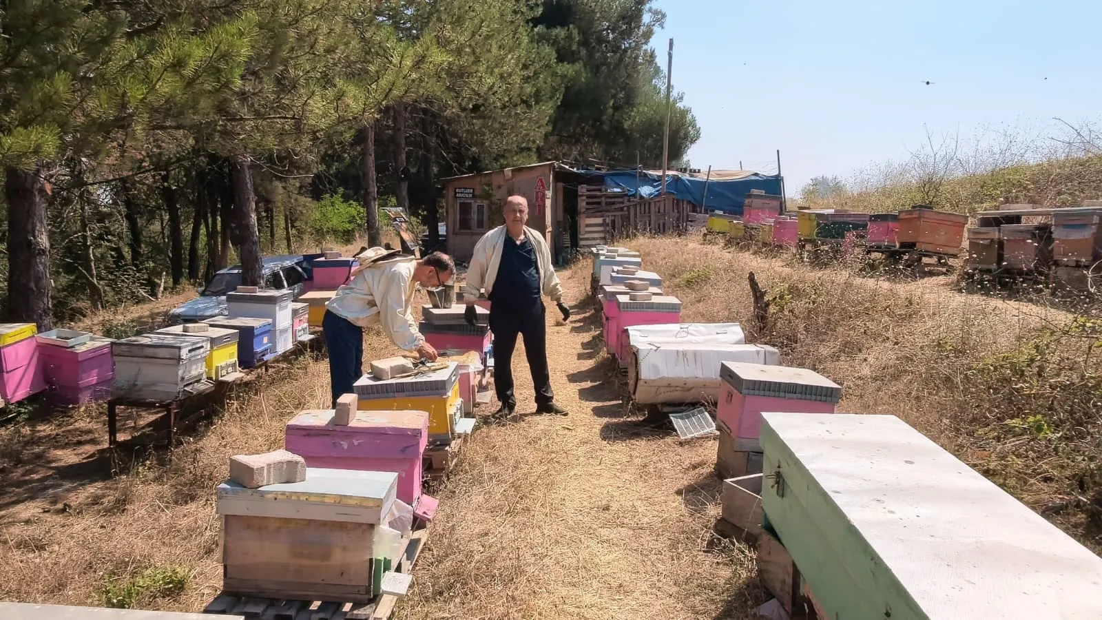 Babasının mide rahatsızlığının tedavisi için başladığı arıcılık, 51 yıldır mesleği oldu