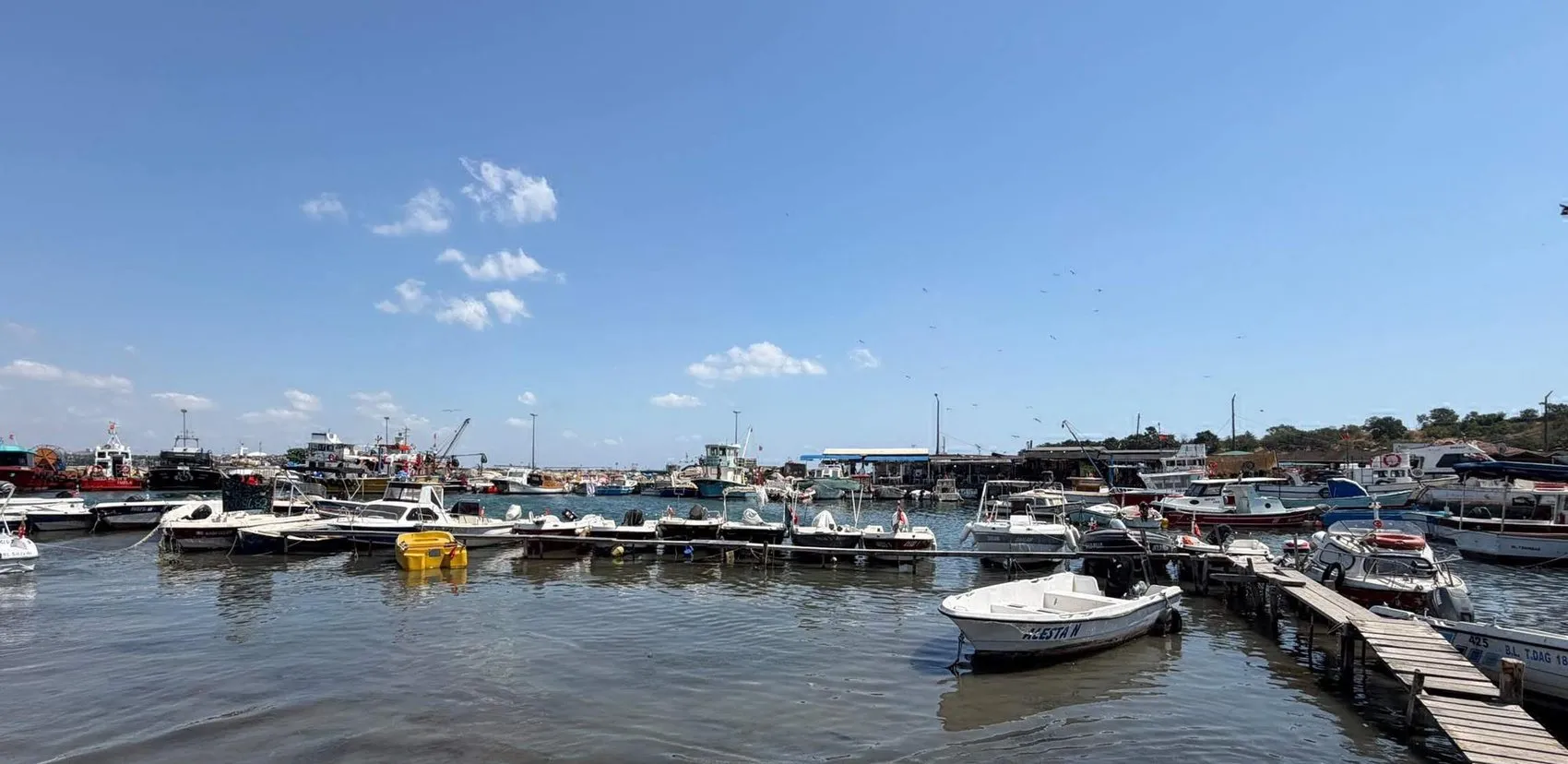 Tekirdağ'da sert rüzgar günlük hayatı durdurdu