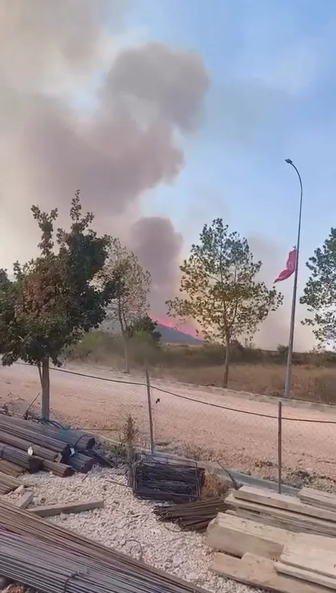 Rüzgar alevleri ormana taşıdı, Bursa'da yangına havadan müdahale var