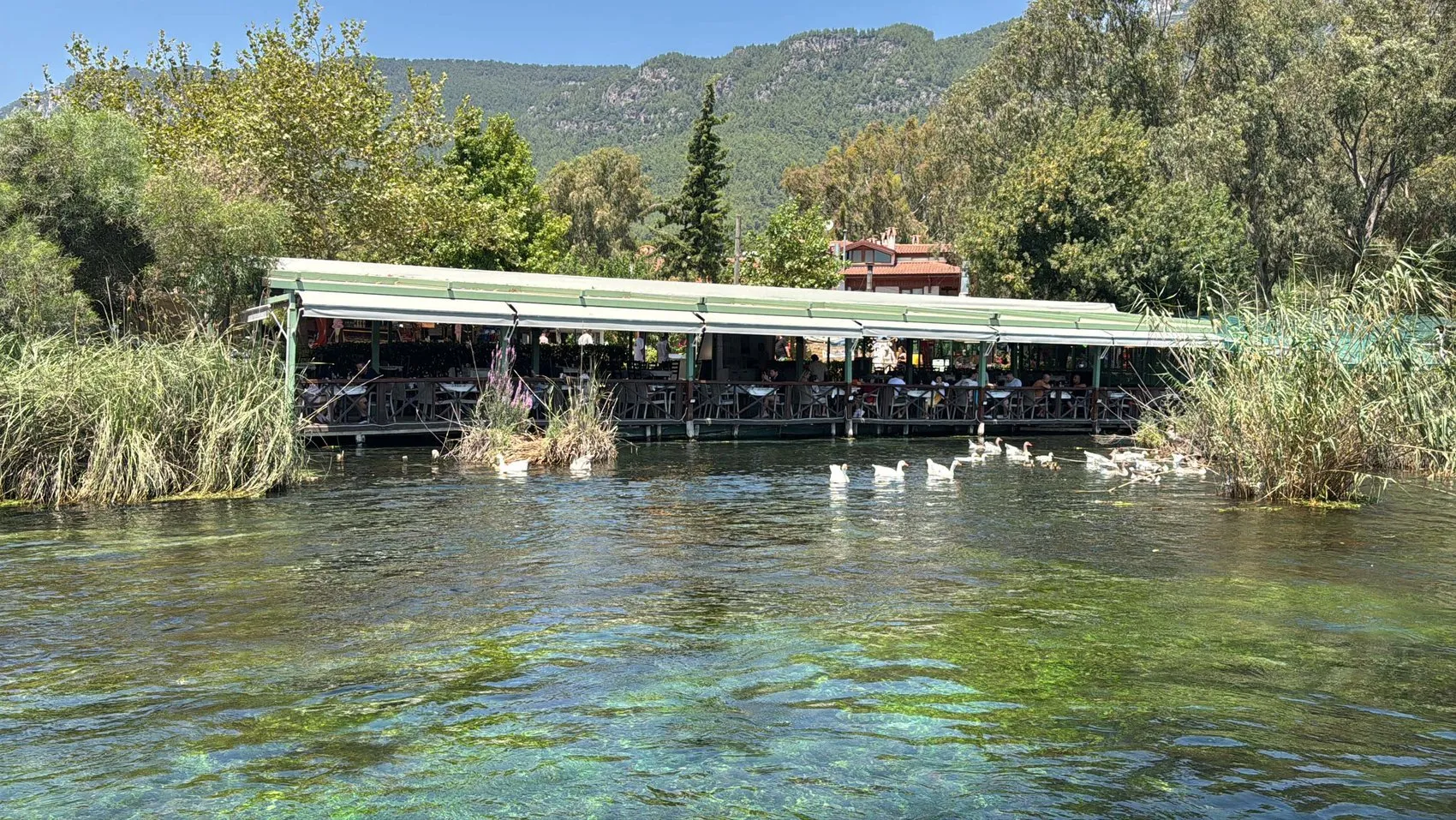 Akyaka Kadın Azmağı doğal akvaryum olarak büyülüyor