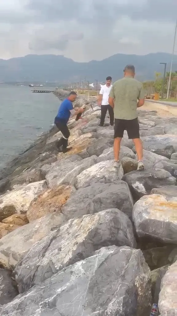 Hatay'da yürek ısıtan an Temizlik görevlisi yaralı leyleği kıyafetleriyle denize girip kurtardı