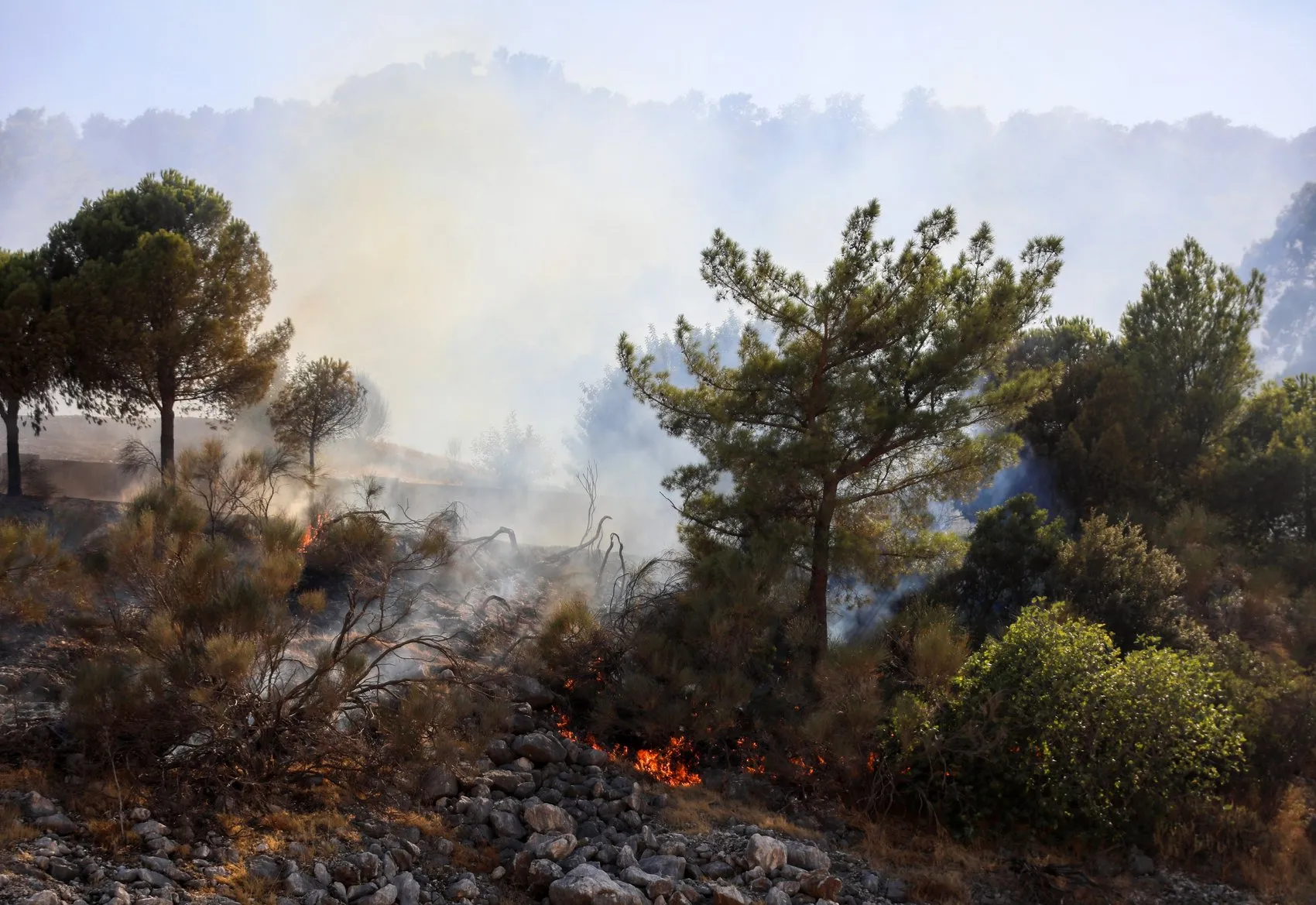 Antalya’da iki noktada orman yangını başladı