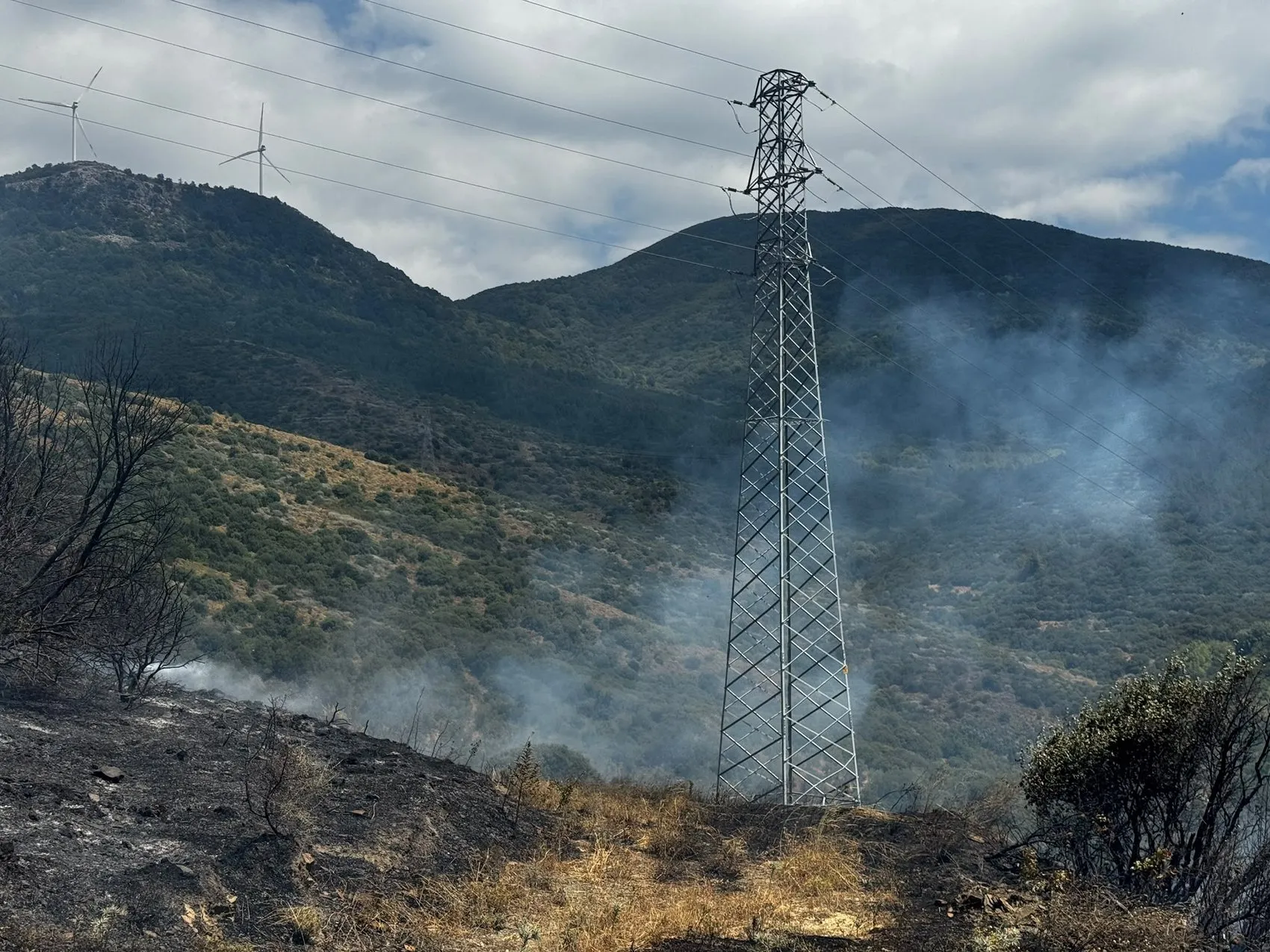 Erdek ormanlarında korkutan yangın kontrol altına alındı