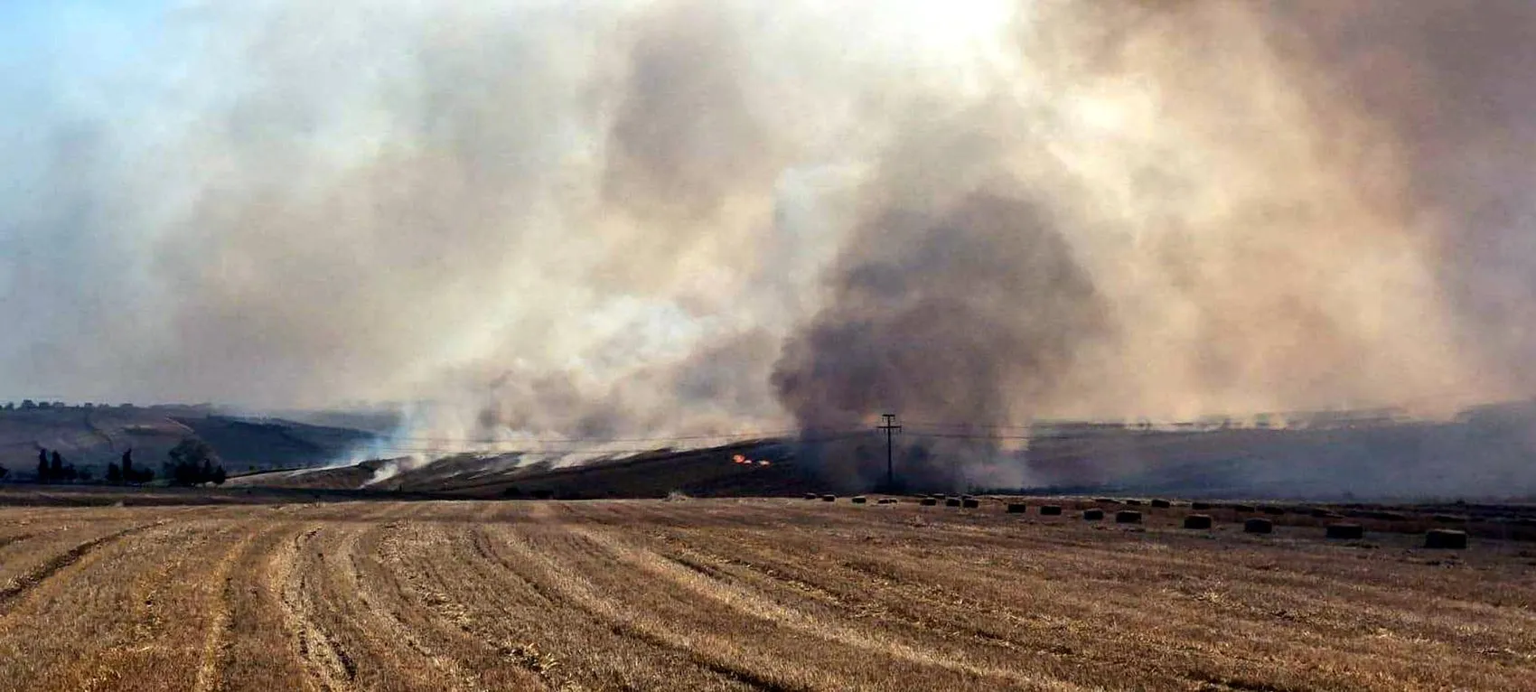 Tekirdağ'da anız yangını 7 bin dönümlük alanı küle çevirdi