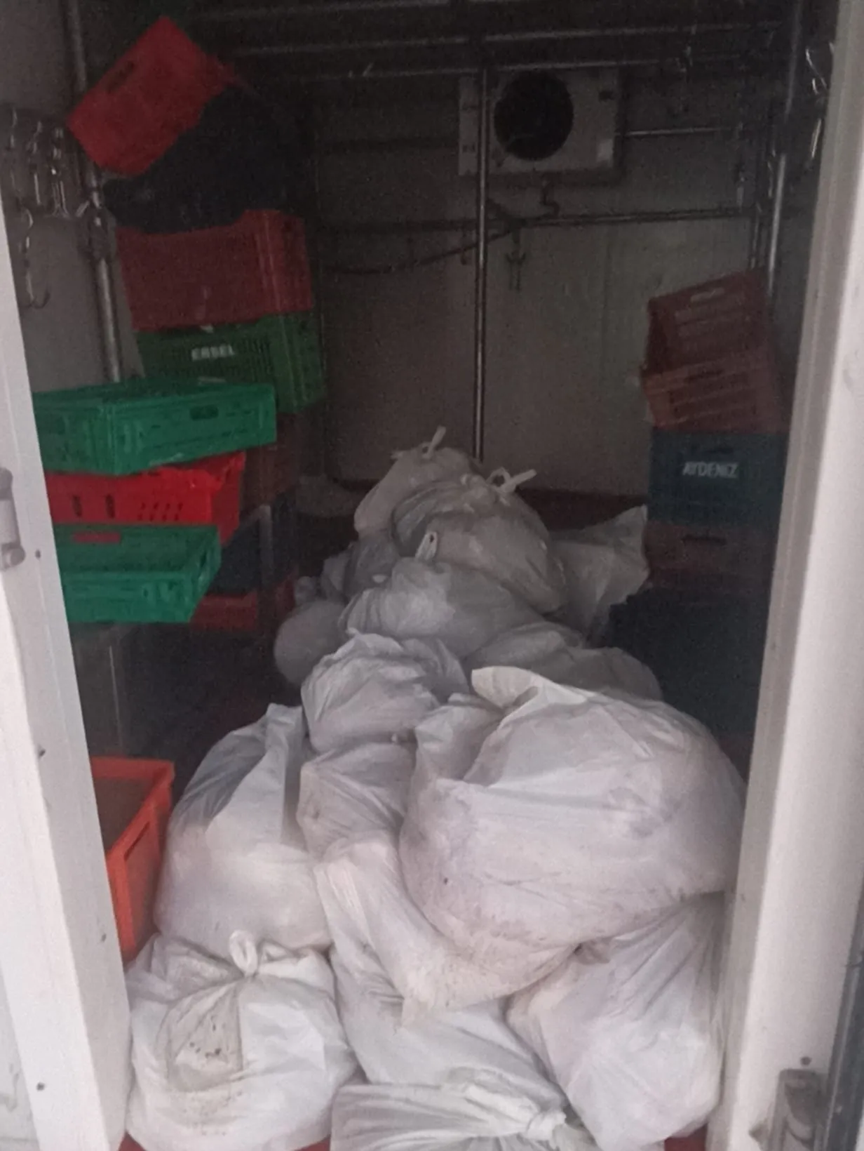 Bodrum'da bir depodan kötü koku yayıldı, 400 kilo bozuk et çıktı