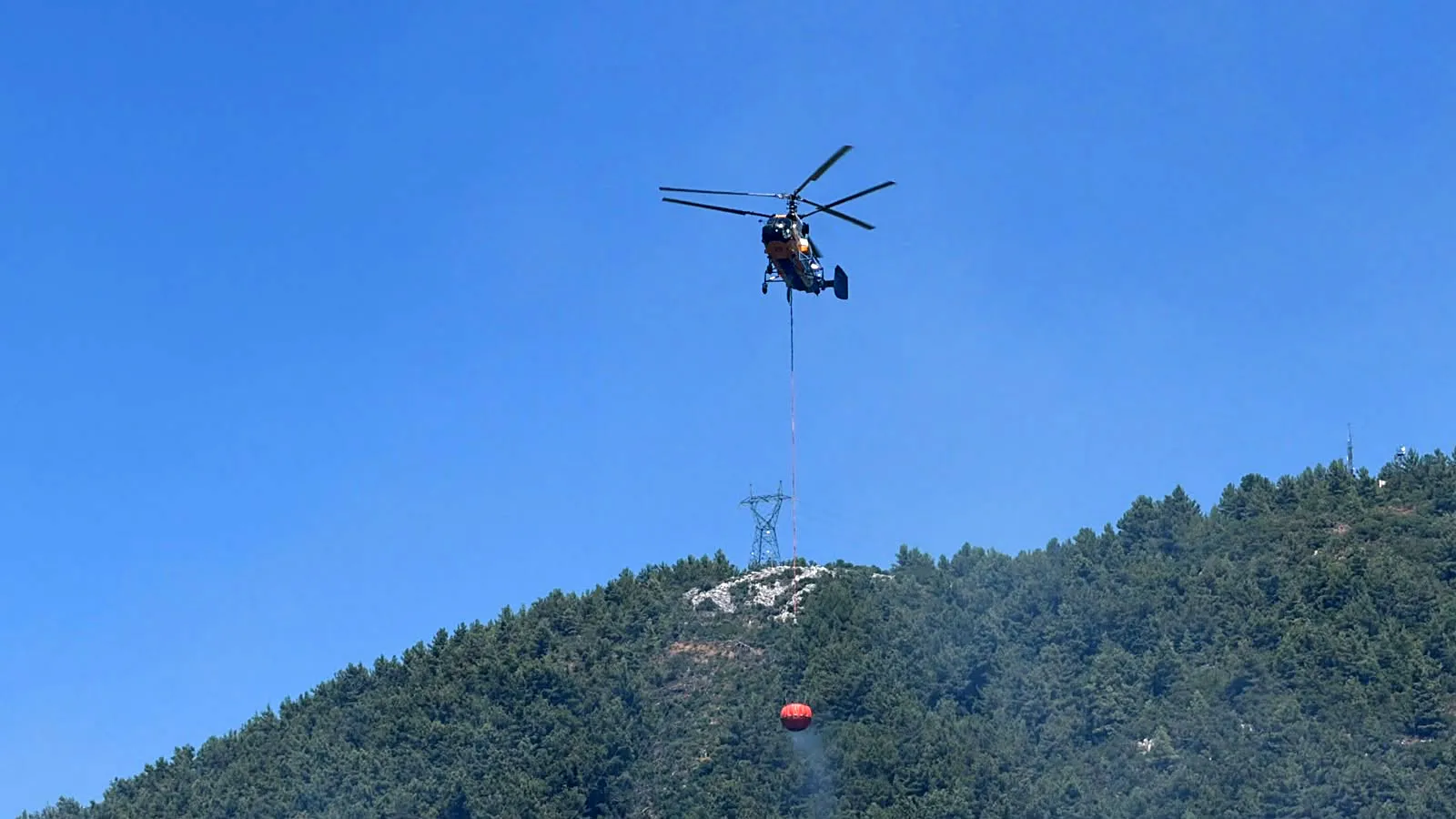 Alanya'da ormanlık alanda yangın paniği