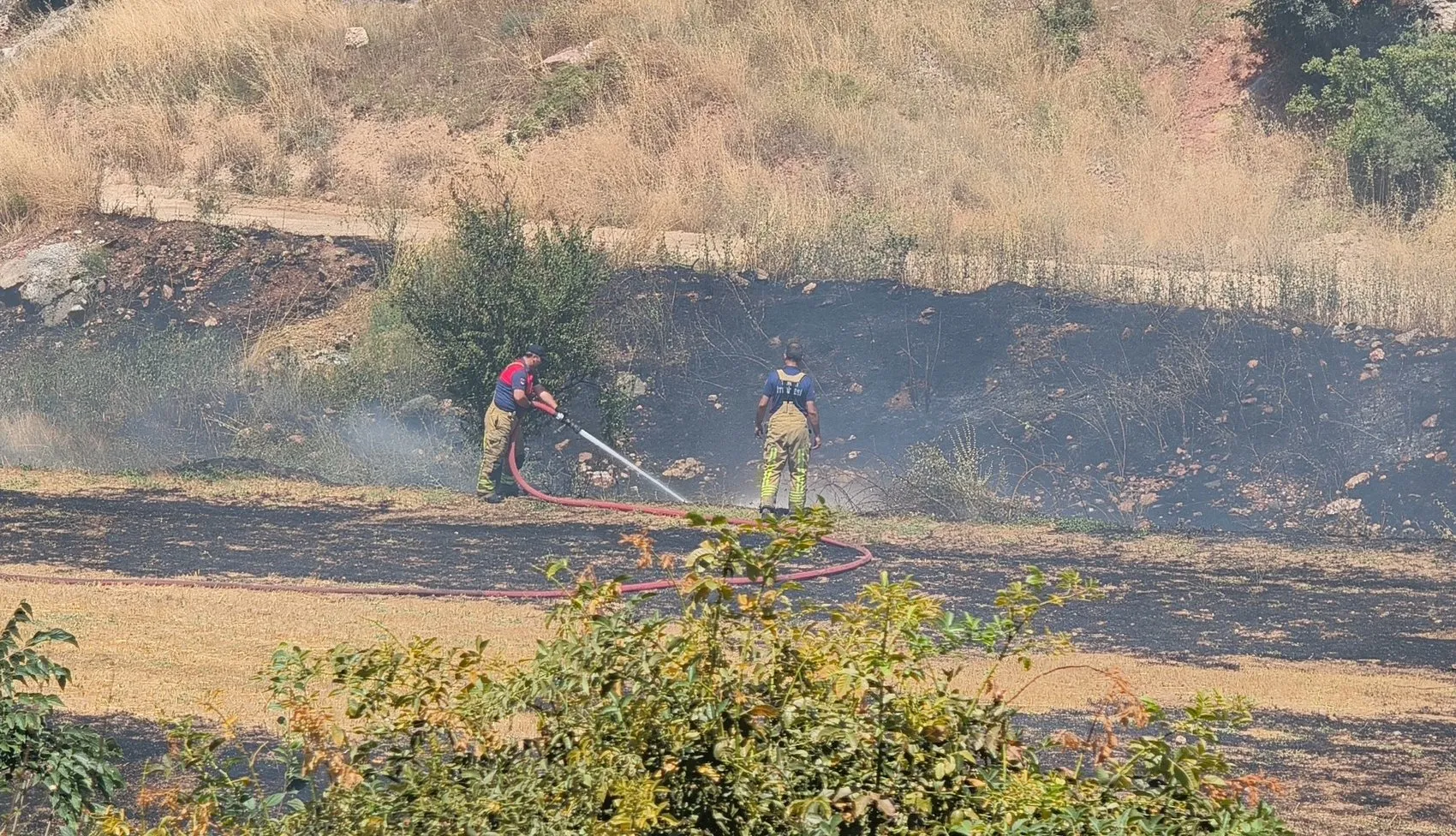 Tokat’taki arazi yangını evlere sıçramadan kontrol altına alındı