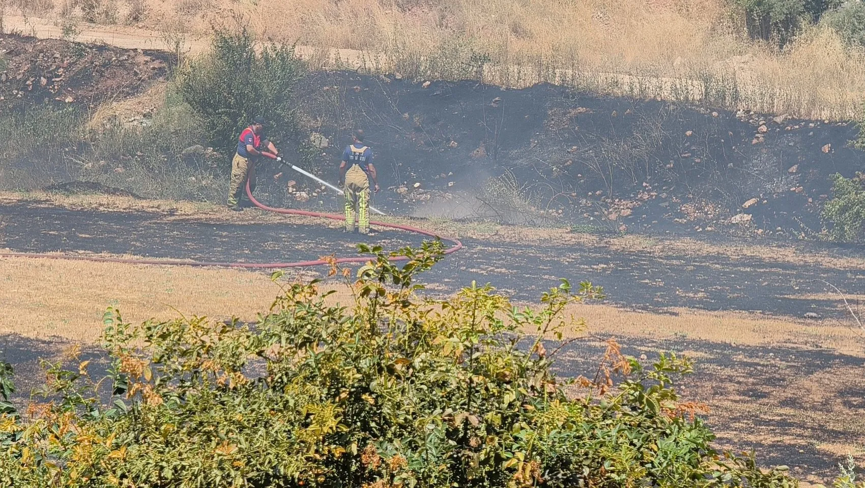 Tokat’taki arazi yangını evlere sıçramadan kontrol altına alındı