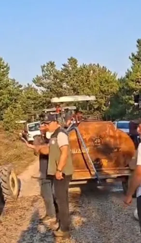 Bolu Göynük alevlere teslim oldu