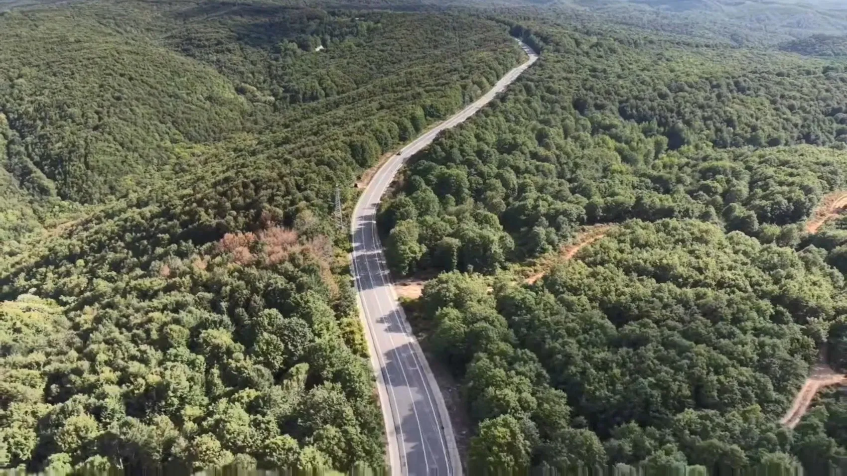 Şile'nin ölüm virajı yine can aldı: 30 yaşındaki sürücü kurtarılamadı