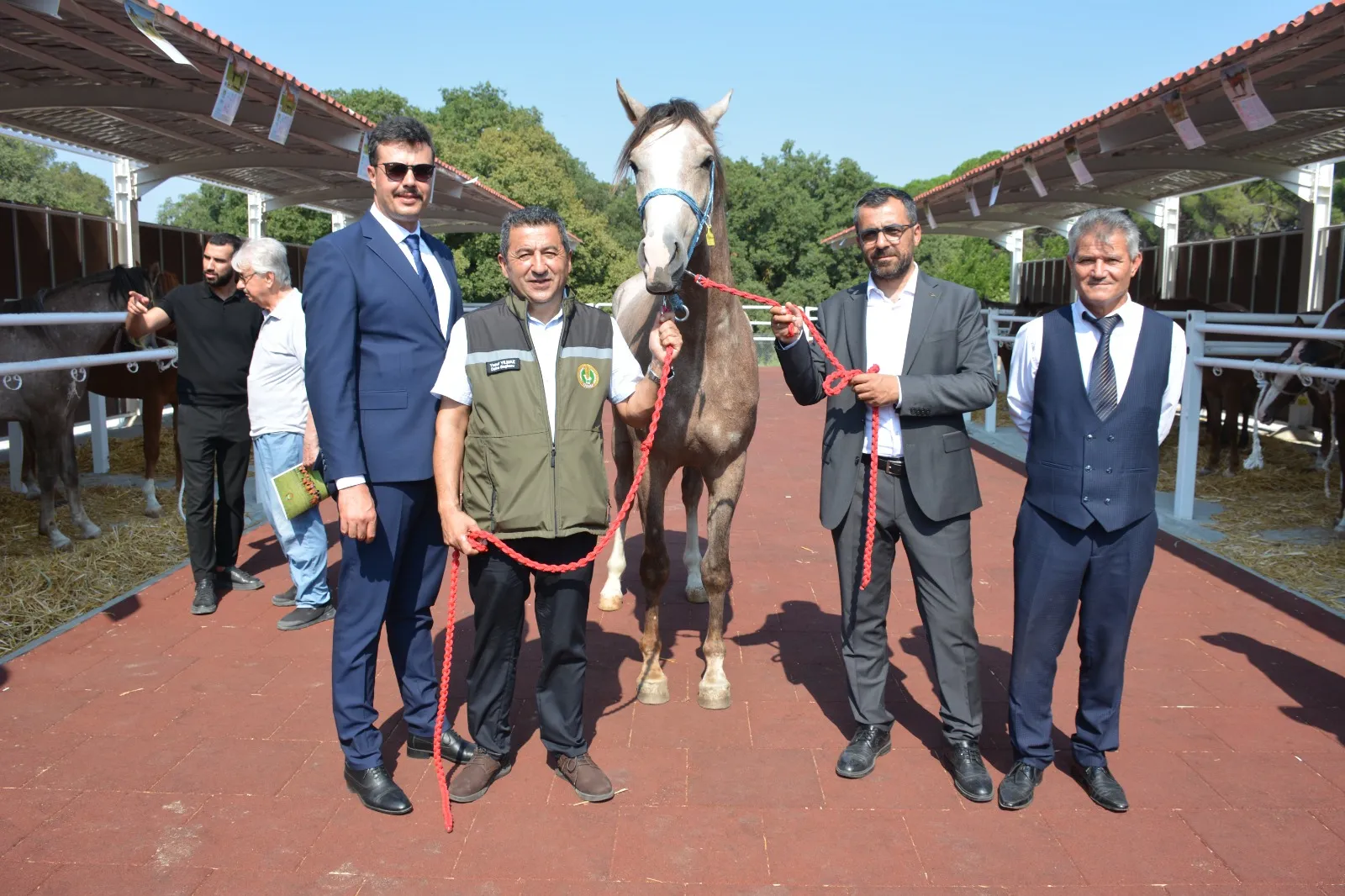 Karacabey'de şampiyon adayı taylar milyonlarca liraya el değiştirdi