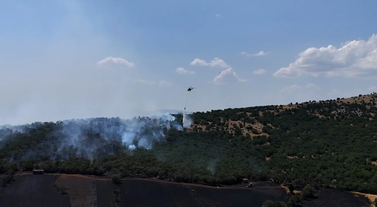 Kütahya’da tarladan ormana sıçrayan yangın kontrol altına alındı