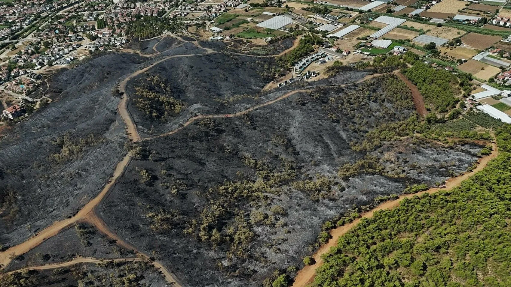 Fethiye'de alevlerin izleri dronla kaydedildi 50 hektar kül oldu