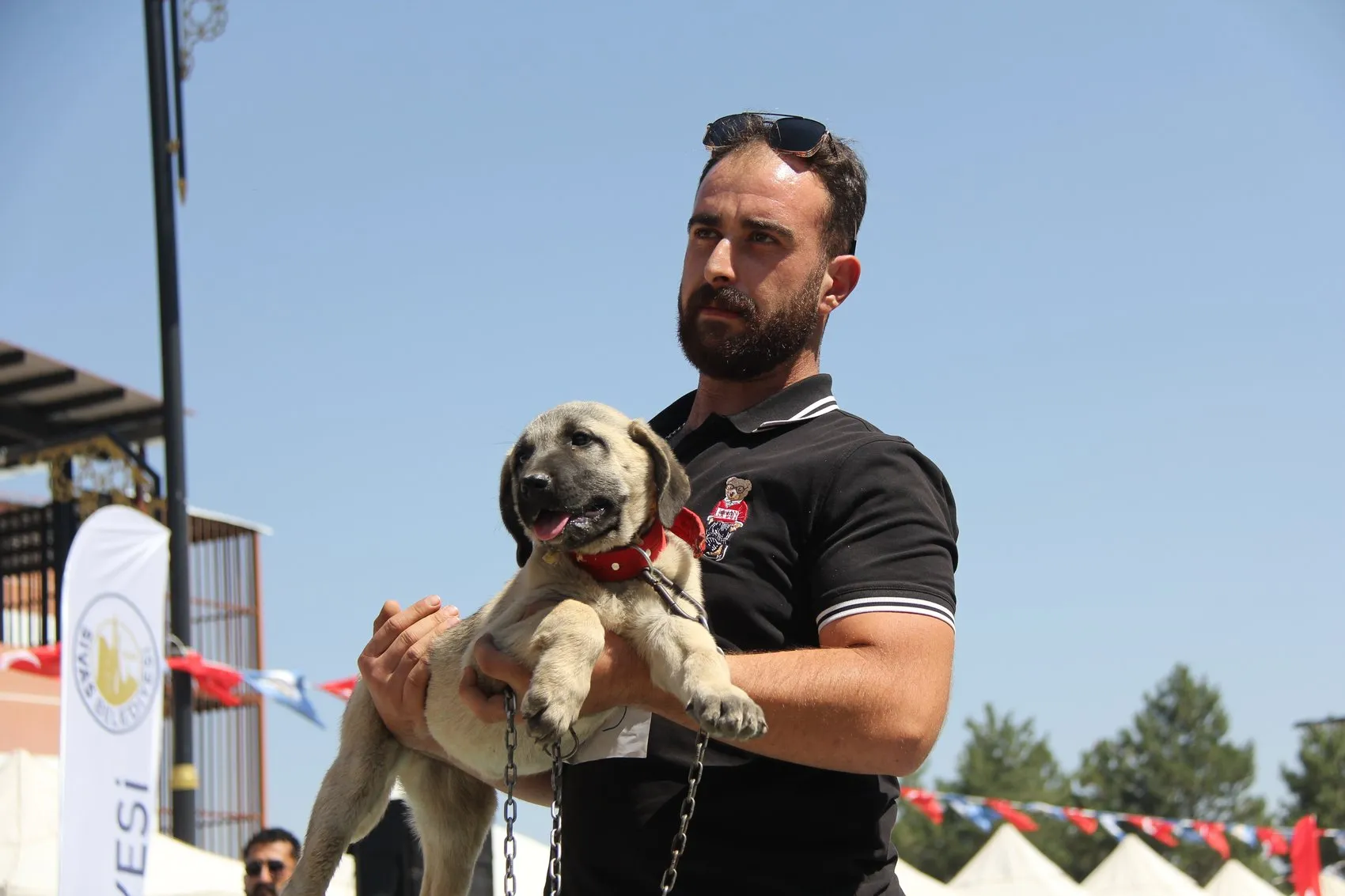 Sivaslı Kangallar podyumda güzelliklerini sergiledi