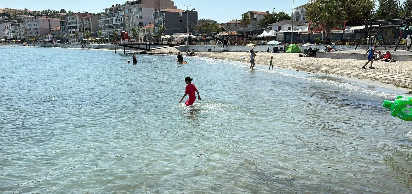 Marmara Denizi'nde denizanası istilası tatilcileri endişelendiriyor