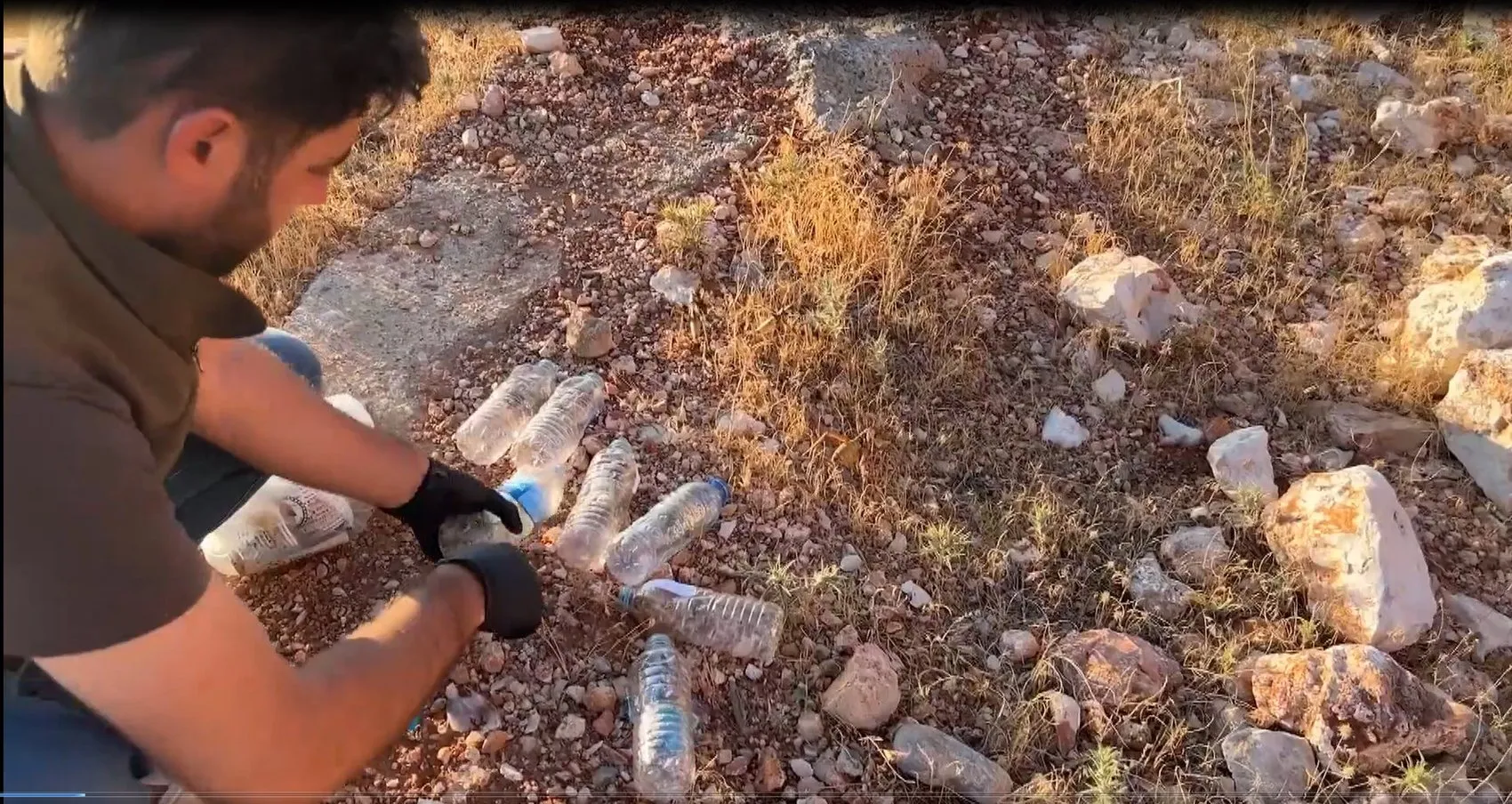Nemrut'ta canlı çekirge avına 1,4 milyon lira ceza, uzman 'biyokaçakçılık' dedi