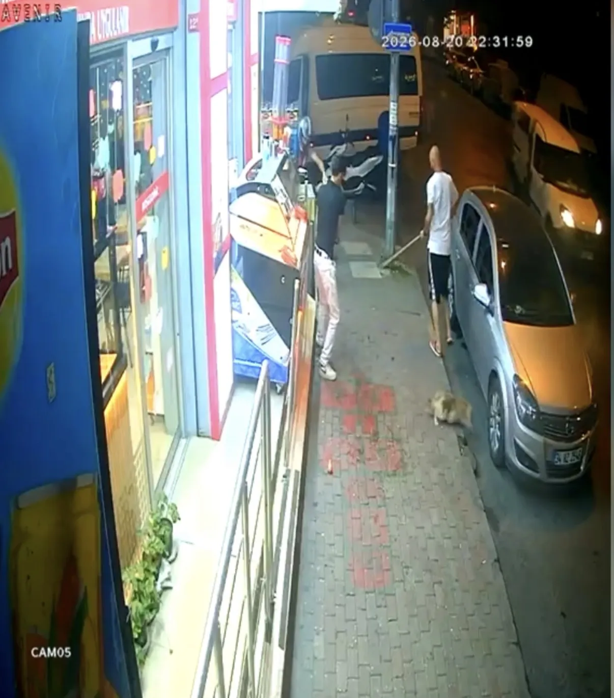 Bağcılar'da sorumsuz köpek sahibi mahalle kedisinin ölümüne neden oldu?