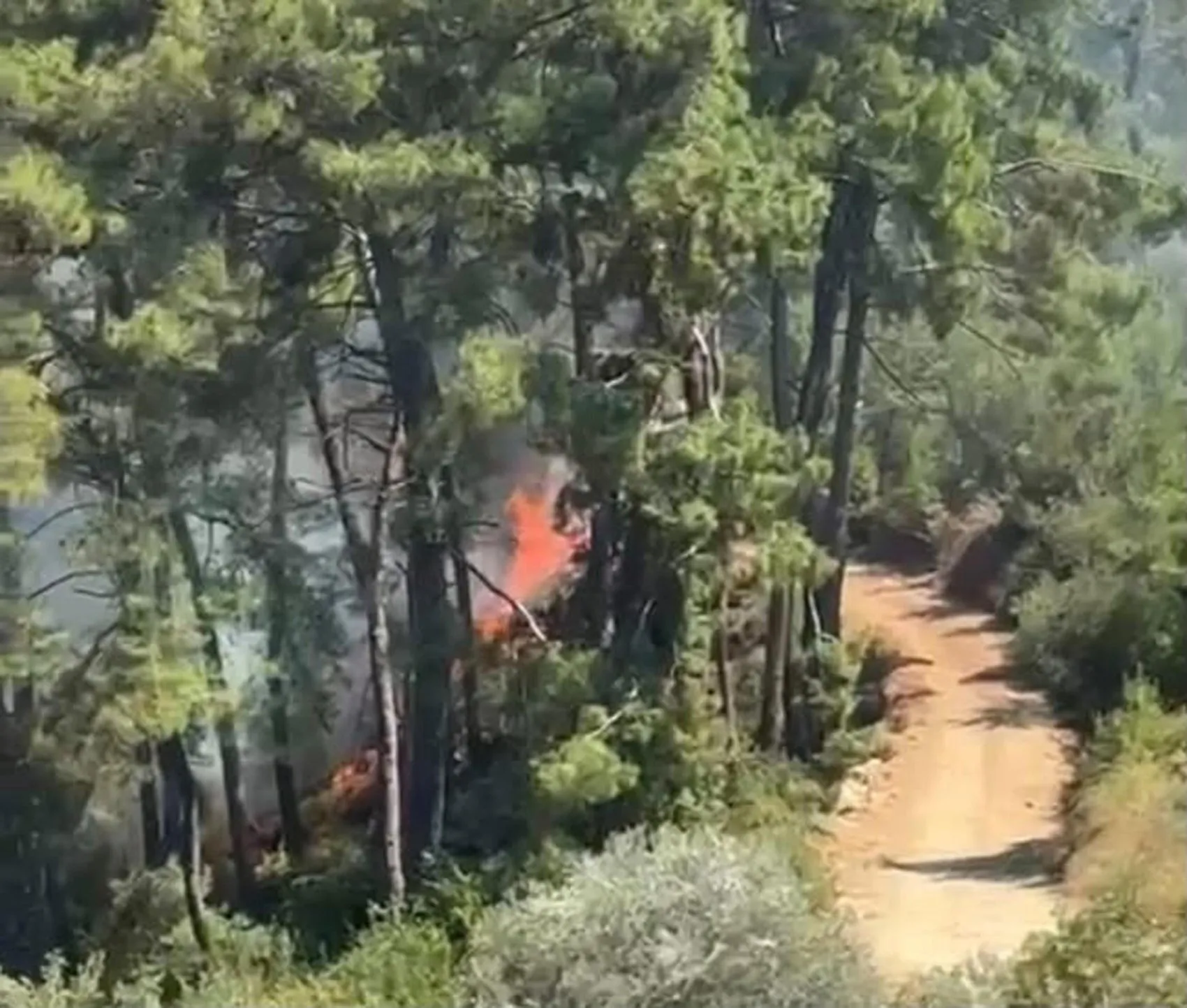 Fethiye’deki orman yangını büyümeden kontrol altına alındı