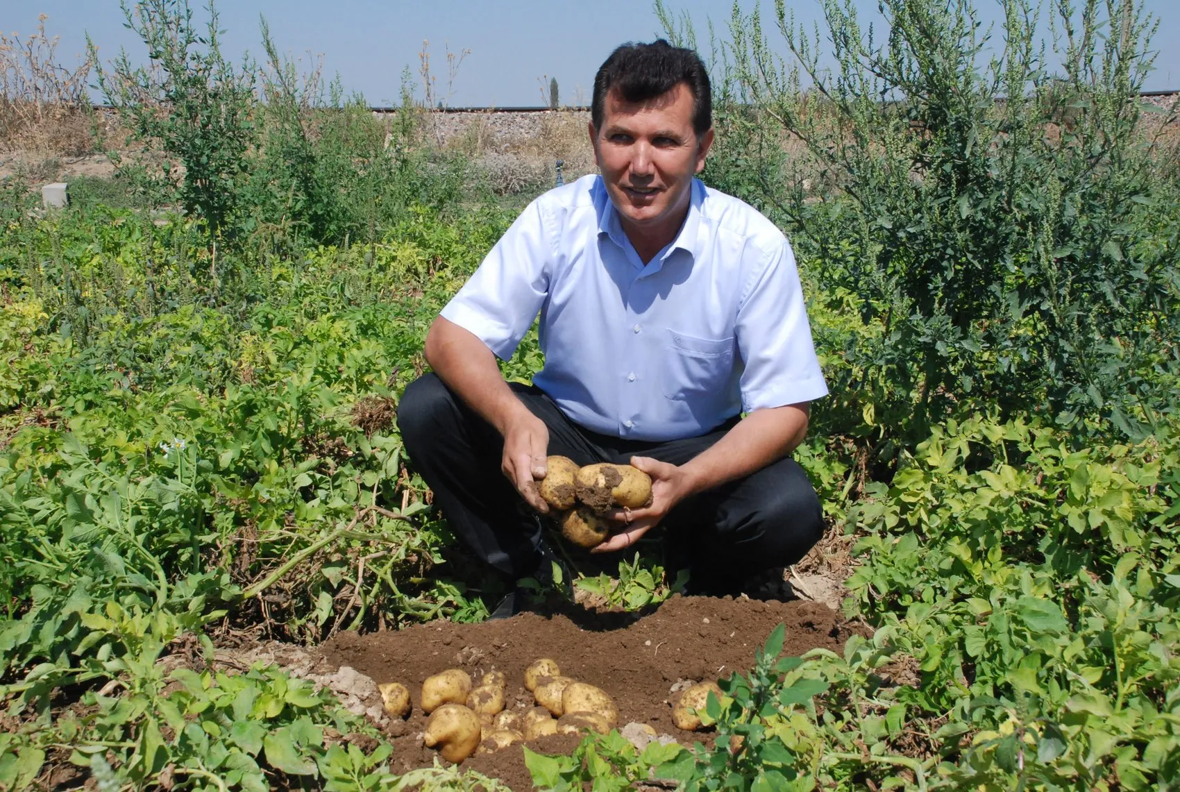 Niğde'de patates tarlada 25 lira, çiftçi bu fiyata gülümsüyor