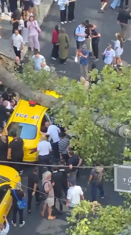 Şişli'de kaldırım ağacı park halindeki iki aracın üstüne devrildi