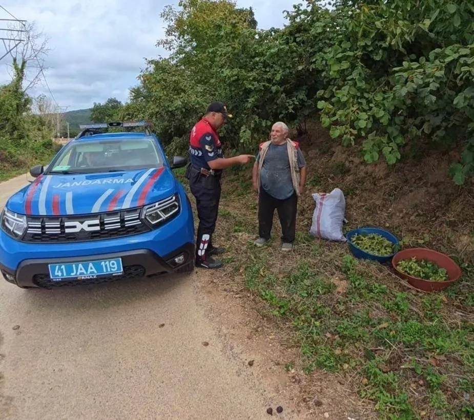 Kandıra'da fındık nöbeti havadan başladı