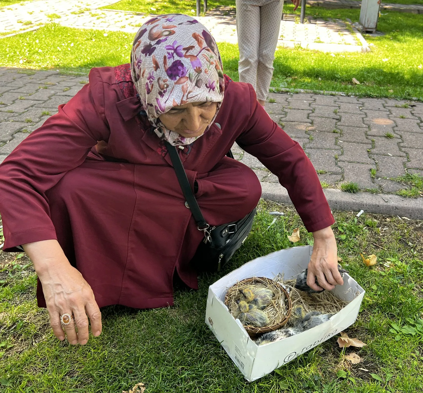Kayserili kadından örnek duyarlılık 5 güvercin yavrusunu kurtardı