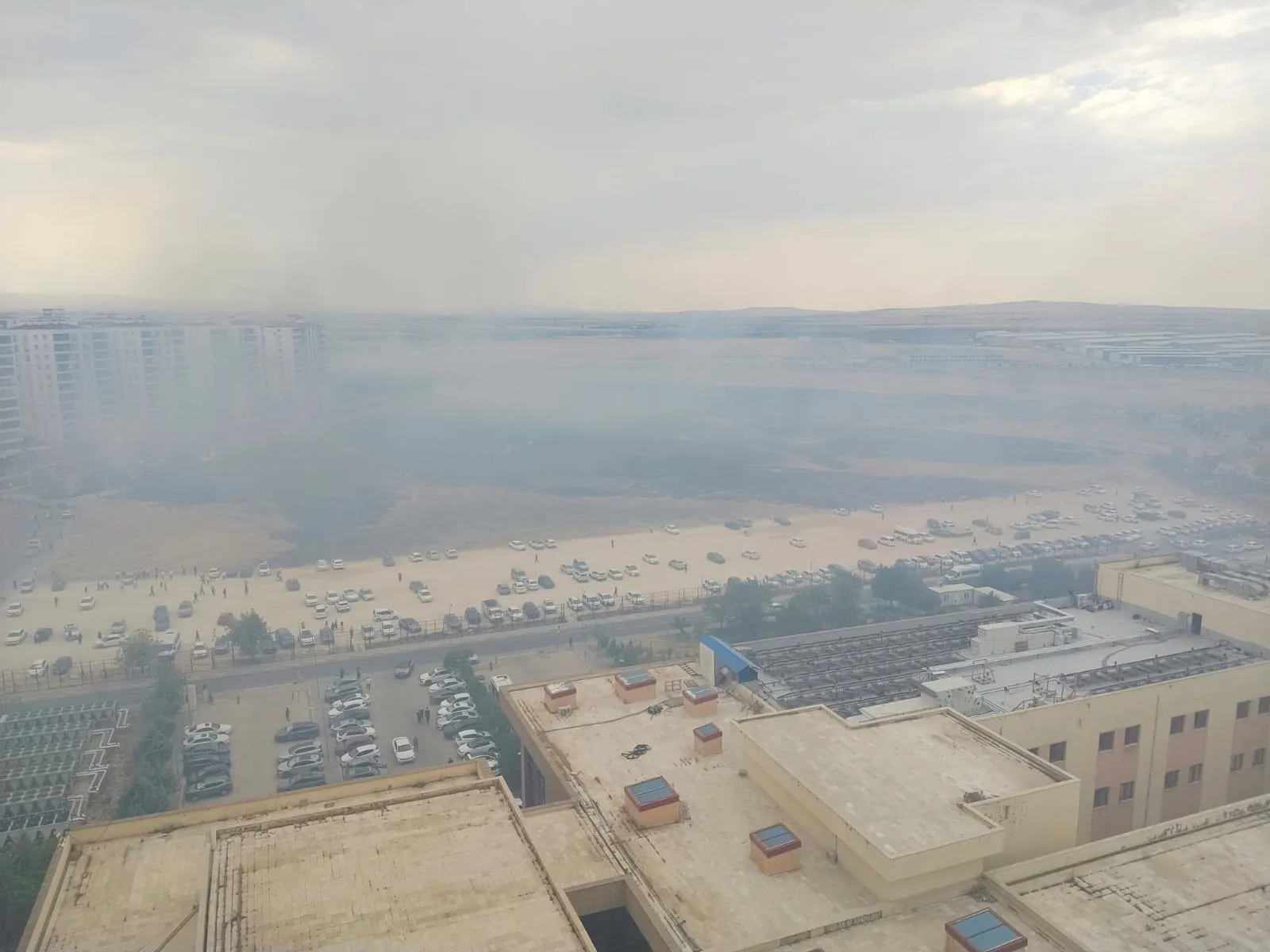 Diyarbakır'da hastane bölgesinde anız yangını paniği yaşandı