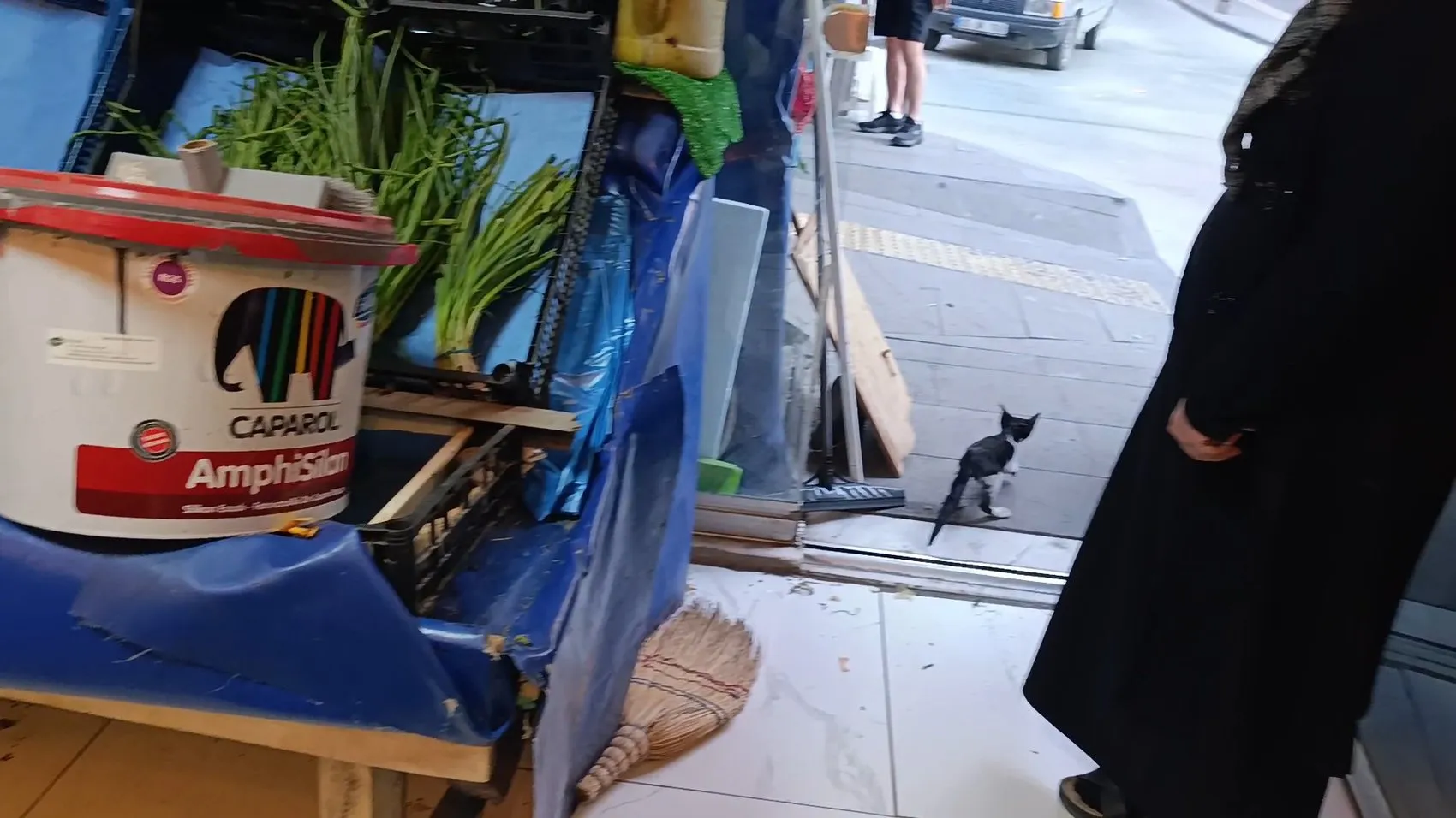 Amasya'da itfaiyeye kök söktüren kedi kurtarma operasyonu
