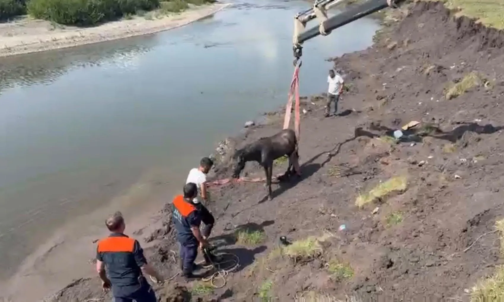 Kura Nehri'nde balçığa saplanan atı AFAD vinçle kurtardı