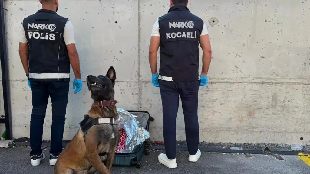 Gebze'deki adrese 21 bin hap sığmıştı, polis kapıyı çaldı