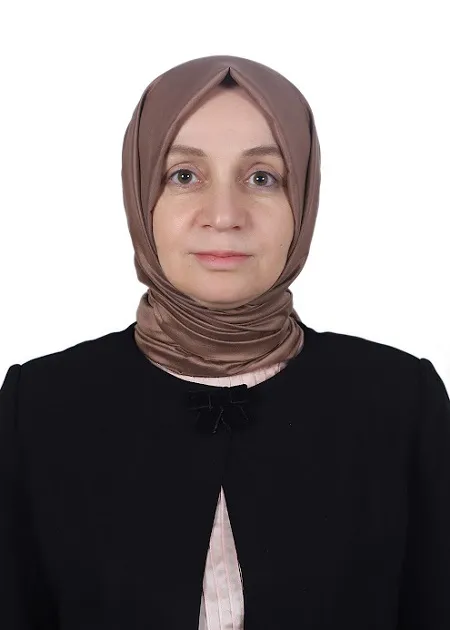 AK Partili Leyla Şahin Usta Bolu yolunda kaza geçirdi