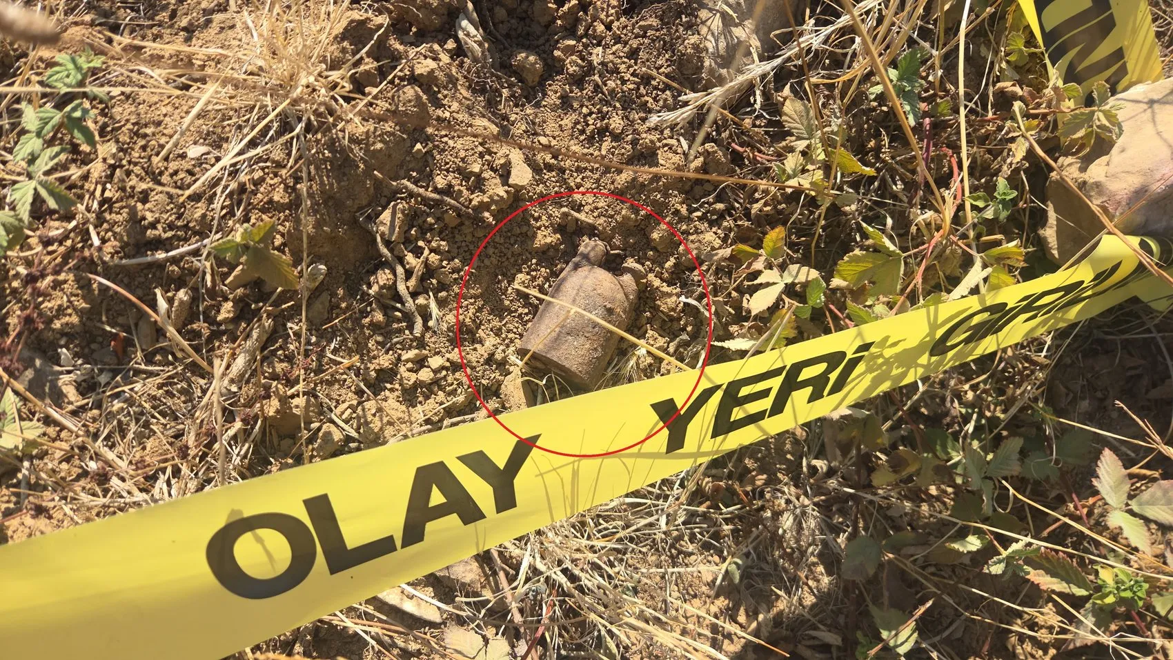 Tarlanın yanı başında asırlık tehlike: 129 yıllık mühimmatlar bulundu